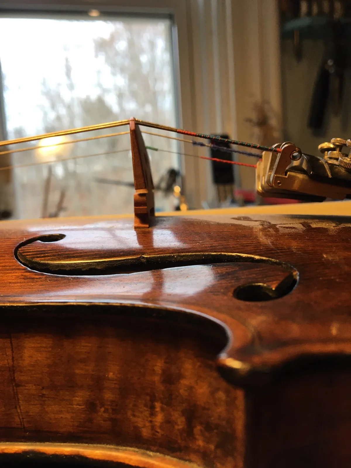 Side view of a violin bridge and strings on the workbench